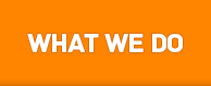 WHAT WE DO